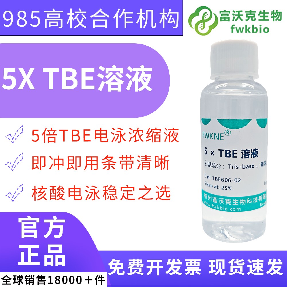 5 倍浓缩 TBE 电泳缓冲溶液 核酸凝胶电泳标准化试剂 高校生物化学基因克隆 PCR 产物检测科研专用缓冲液