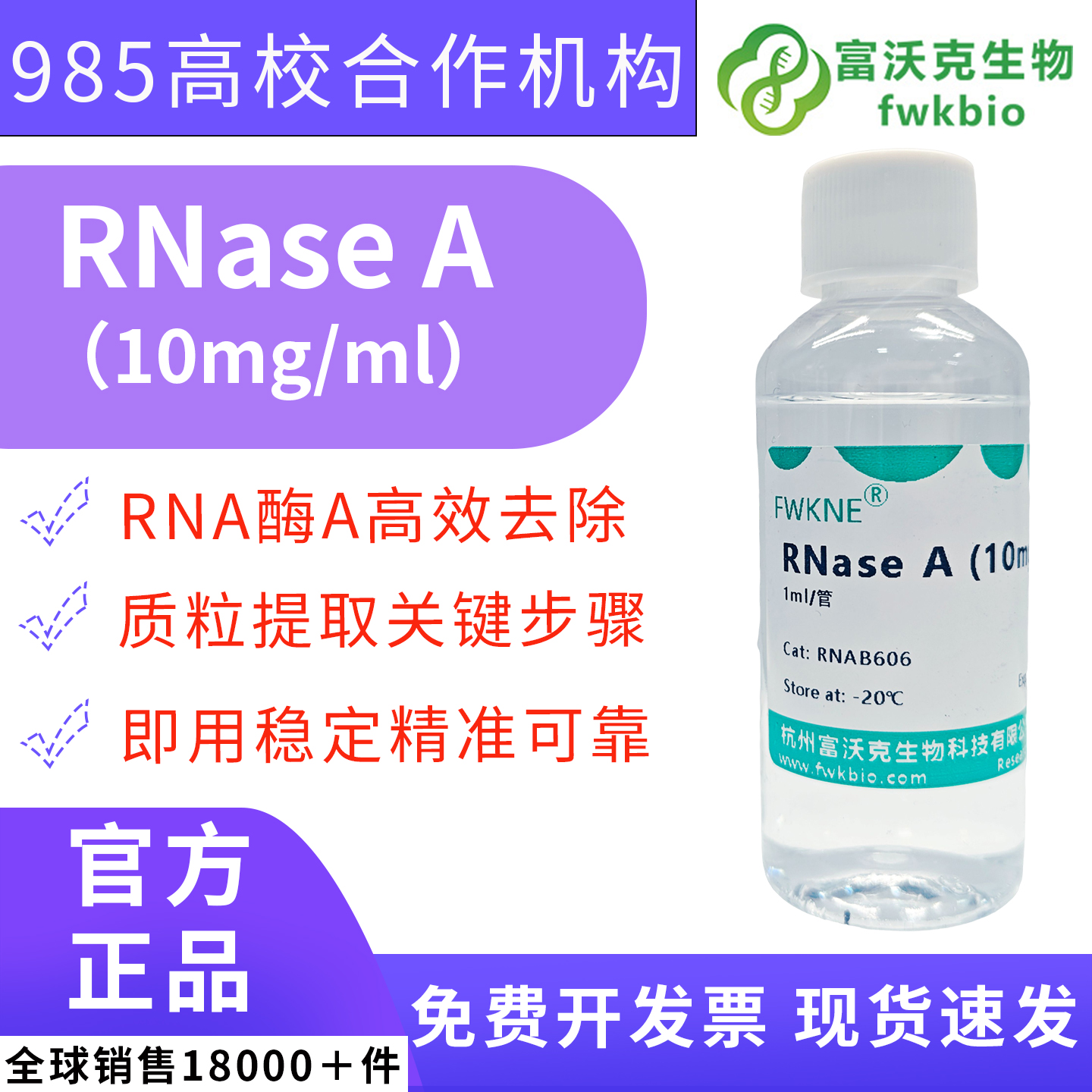 RNase A.jpg