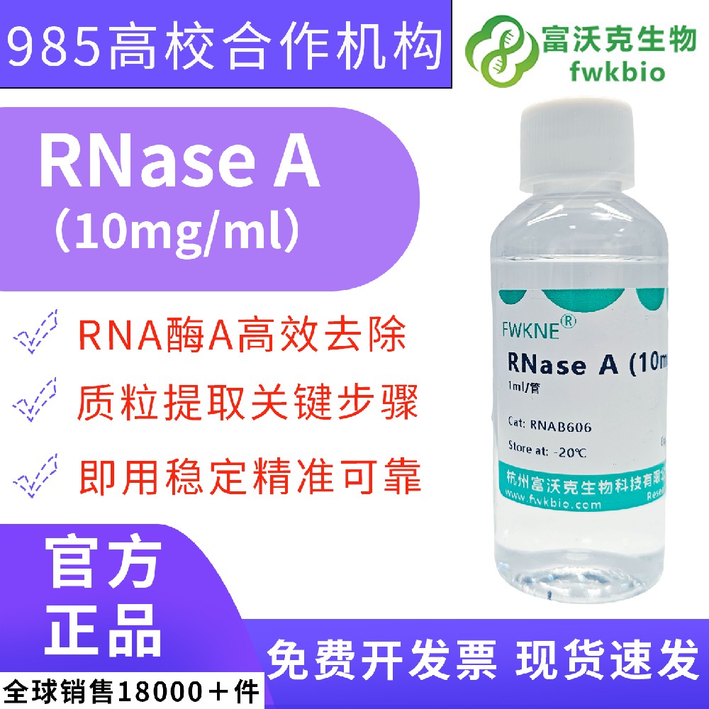 即用型 RNase A 溶液 两种常用浓度规格 高校生物工程农林生物技术专业质粒制备核酸纯化课题实验试剂