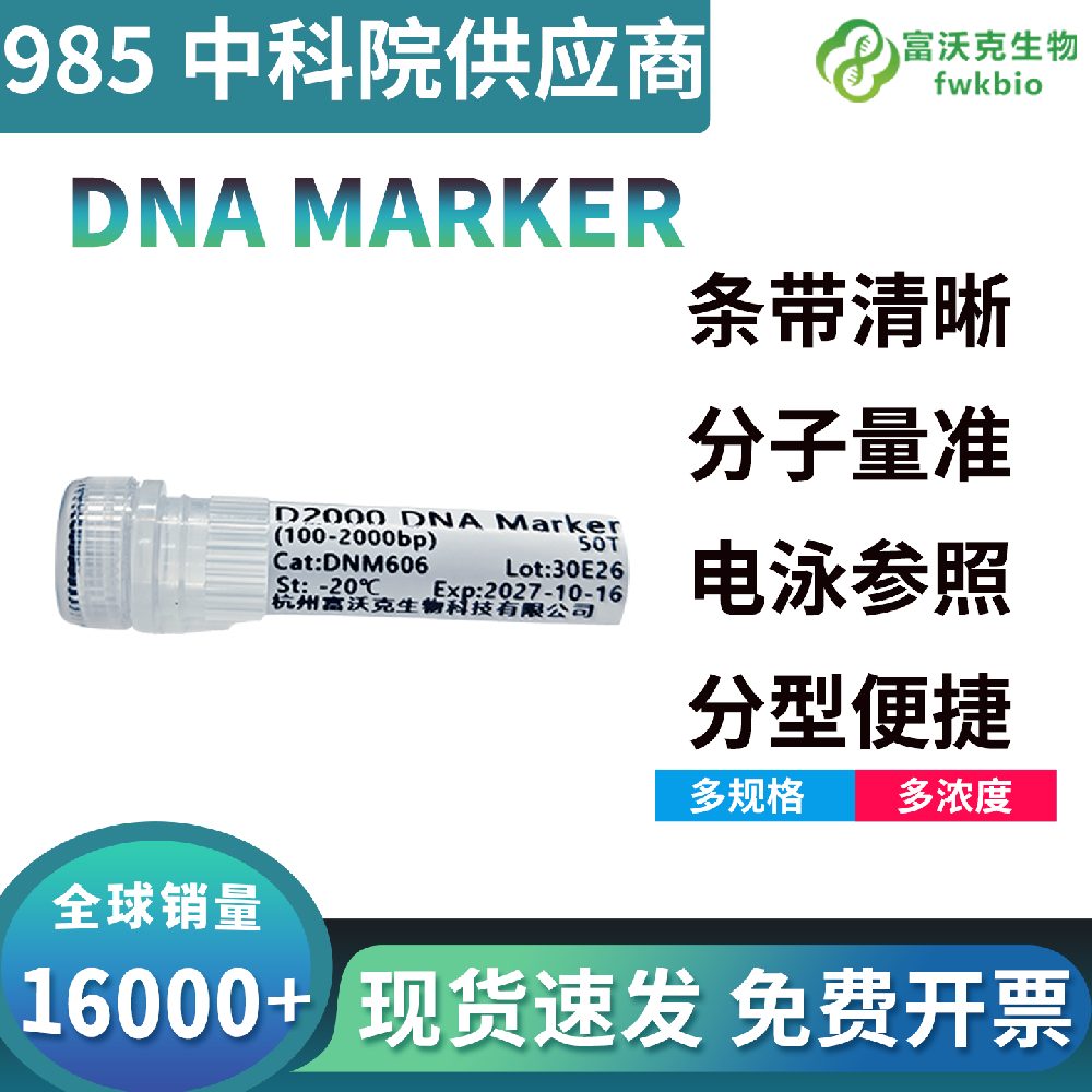 高性价比即用型 DNA Marker 分子量标尺，免酶切免纯化省工时，实验室批量核酸电泳降本优选试剂