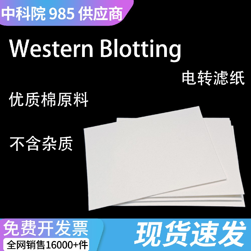科研级加厚转印滤纸 适配WB蛋白湿转实验均匀转膜耗材