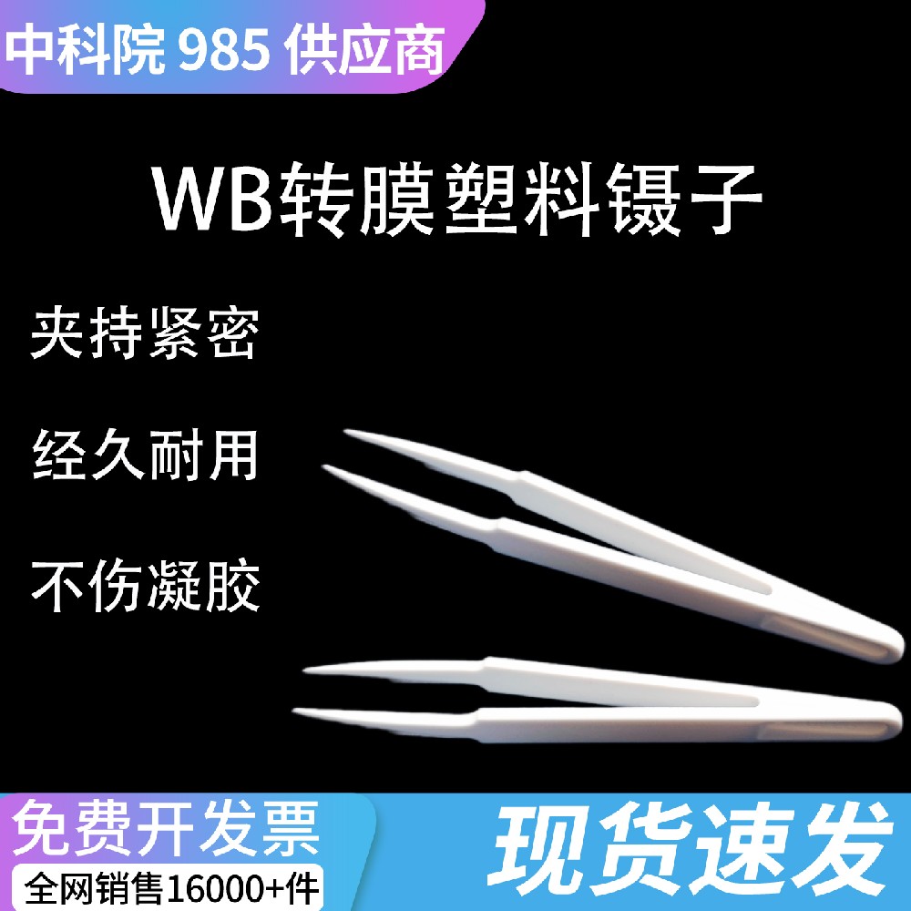 WB 蛋白转膜专用镊子 科研级防静电无尘塑料尖头镊