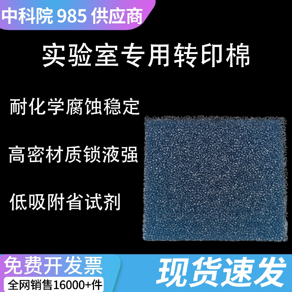 Western blot 多孔转印棉 电泳转膜槽配套吸水缓冲海绵衬垫