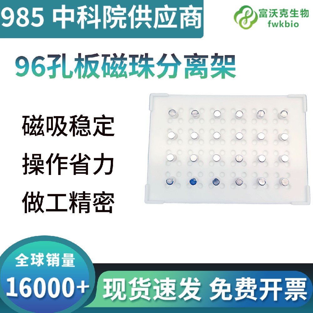 96孔板磁珠分离架