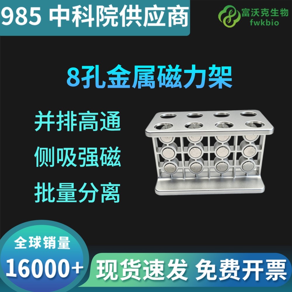 八孔磁力架
