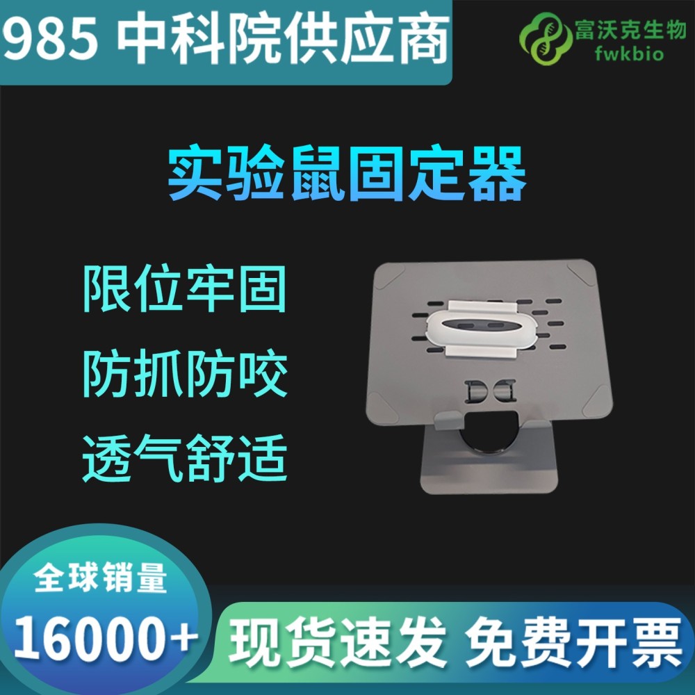 实验鼠固定器