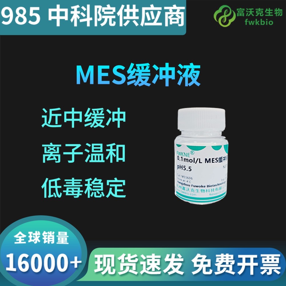 MES缓冲液