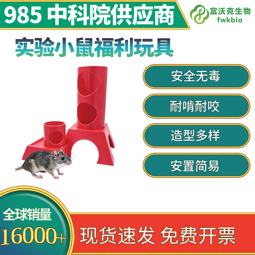 实验小鼠福利玩具